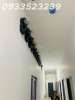 Chủ định cư ÚC bán gấp tài sản CHDV Dương Quảng Hàm, Gò Vấp, 300m2, - GIÁ 26,5 tỷ tl thoải mái