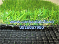 cỏ nhân tạo giá rẽ