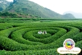 Bán nhà giá rẻ