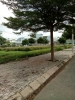 Mở bán 18 lô đất nền MT Trần Đại Nghĩa, cách BV Nhi Đồng 3 3km, sổ hồng có liền. LH: 0938.055.012