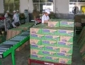 Tuyển Nam sắp xếp sữa vinamilk 400.000 VNĐ/Ngày.