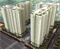 Cho thuê Penthouse HAGL3 Q7, TPHCM