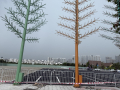 Cần Bán Gấp Đất Phước Thiện, L.Thạnh Mỹ, Q.9, 4220m2, Giá 75 Tỷ