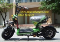 Xe đạp điện Bò Điên mẫu mới khuyến mãi giá 8tr2