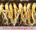 Hồng Sâm món quà tết đầy ý nghĩa