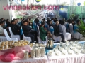 tiệc fingerfood, tiệc cocktail, đặt tiệc , tiệc buffet tại hà nội