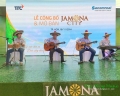 Cung cấp ban nhạc Flamenco toàn quốc