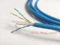 Phân phối cáp mạng UTP/ cáp mạng chống nhiễu FTP chính hãng
