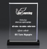 Công ty làm biểu trưng kỷ niệm chương gỗ đồng, làm biểu trưng phale thủy tinh, làm trophy