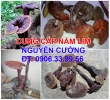 Bán nấm lim tại Đà Nẵng, Quảng Nam