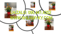 Vỏ chai nhựa 1 lít vuông, chai vuông 0.5 lít màu đen, chai hóa chất 250ml màu đỏ, lọ nhựa 100ml đựng dung môi
