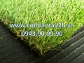 cỏ nhân tạo giá rẽ