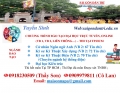 Đào Tạo Đại Học  - Thạc sỹ Thi  Tại TP.HCM LH 0918230509 (THẦY SƠN)