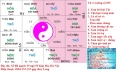 ĐOÁN BIẾT VẬN MỆNH CUỘC ĐỜI QUA TỬ VI VÀ ĐƯỜNG CHỈ TAY