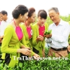 Yếu sinh lý nên uống trà xanh