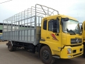 Xe tải dongfeng 9t