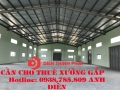 Kho xưởng mới xây dựng 100% đang có nhu cầu cho thuê:(1.000m2;1.200m2,1.600m2; 2.000m2)Tỉnh Lộ 10,Trần Đại Nghĩa,Nguyển Cửu Phú