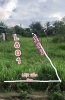Bán Đất  Mặt Tiền n-  Trung Tâm Thị Trấn Cát Tiên - Lâm Đồng , Giá ; 1.85 tỷ , DT ; 10 x 50