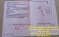 CHÍNH CHỦ CẦN BÁN NHANH LÔ ĐẤT  MẶT TIỀN TẠI xã Liên Hiêp huyện Đức Trọng Lâm Đồng