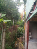 Cho Thuê Đất Sân Vườn Tân An, Thủ Dầu Một, Bình Dương – Diện Tích 2.000m², Giá 36 Triệu/Tháng. Liên hệ: Chothuexuongmiennam.com - 0366632092