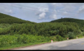 CƠ HỘI ĐẦU TƯ – CHÍNH CHỦ BÁN 30.000m² ĐẤT RỪNG SẢN XUẤT – MẶT ĐƯỜNG HỒ CHÍ MINH, THANH HÓA